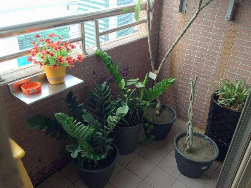 Jia Jia House Daire Kaohsiung Dış mekan fotoğraf